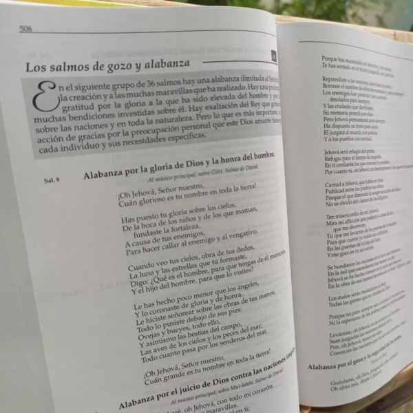 Biblia Cronológica Reina Valera 1960 Tapa Dura - Image 7
