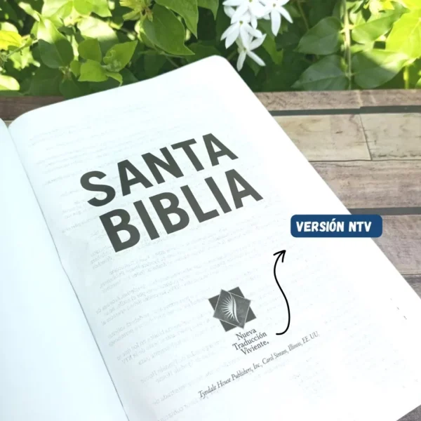 Biblia Ntv Ágape Sentipiel Azul Nueva Traducción Viviente - Image 3