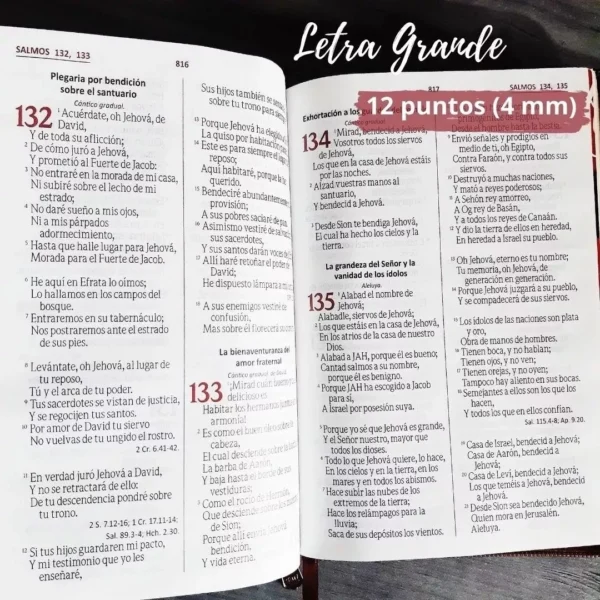 Biblia De Oraciones Reina Valera 1960 Letra Grande Café - Image 2