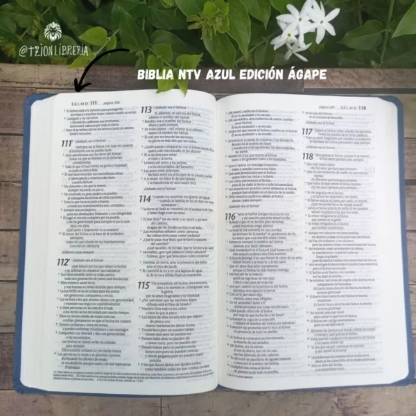 Biblia Ntv Ágape Sentipiel Azul Nueva Traducción Viviente - Image 7