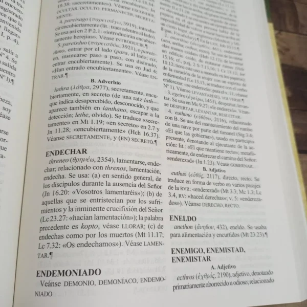 Diccionario Expositivo De Palabras De La Biblia Vine - Image 5