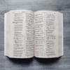Biblia Misionera NTV - Verde - Image 5