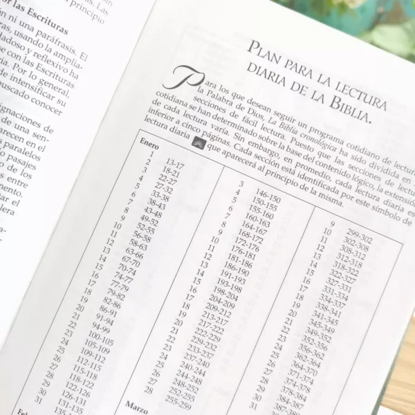 Biblia Cronológica Reina Valera 1960 Tapa Dura - Image 5