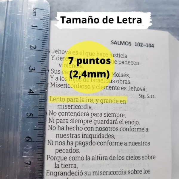 Biblia Económica Azul Oscuro Reina Valera 1960 - Image 4