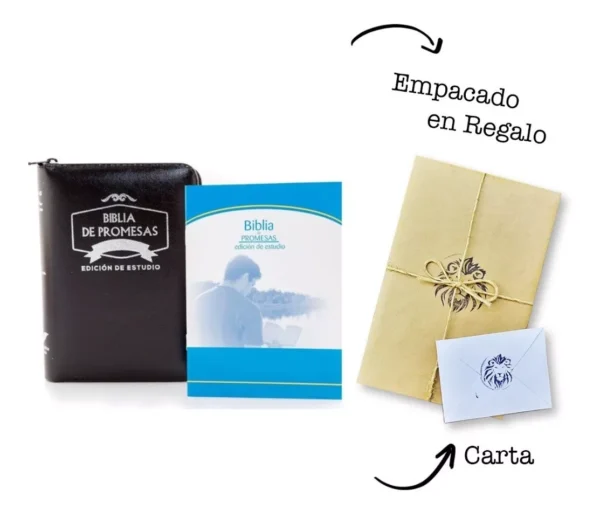 La Biblia De Promesas Edición De Estudio Rvr1960 Negro