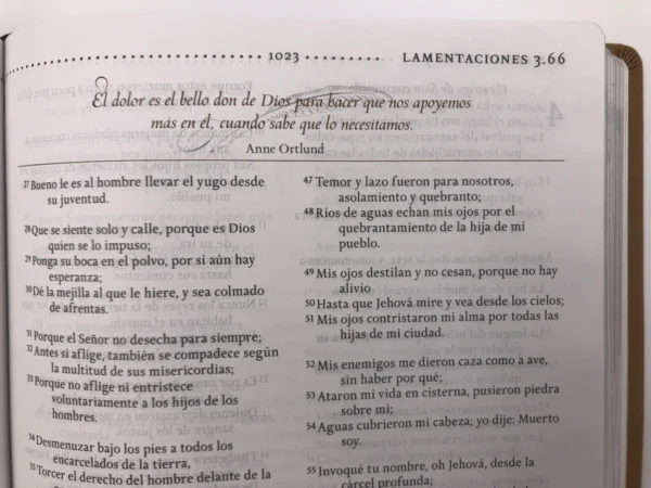 Biblia De Estudio Para La Mujer RVR1960 - Image 5