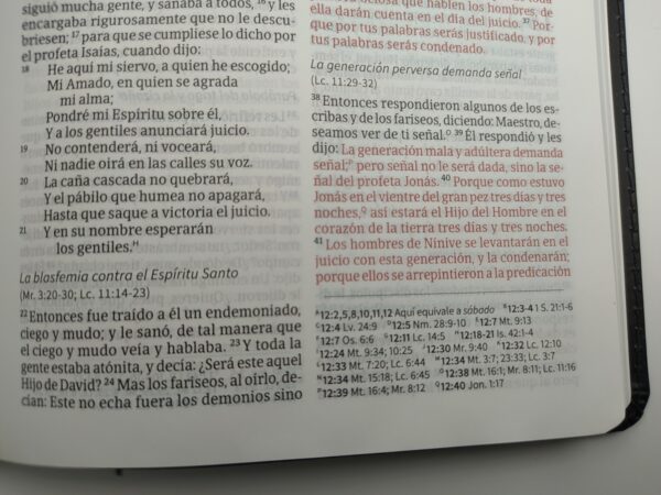 Biblia Del Ministro RVR1960 - Image 6