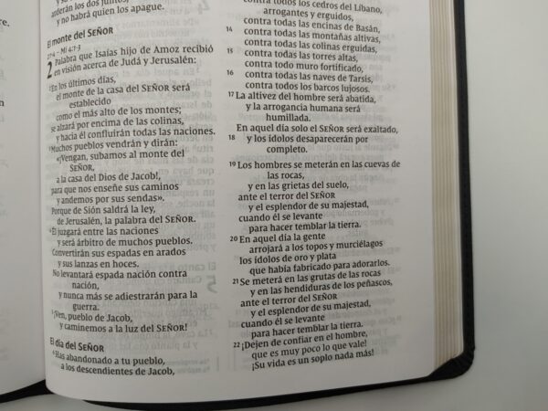 Biblia Ultrafina NVI Piel - Image 5