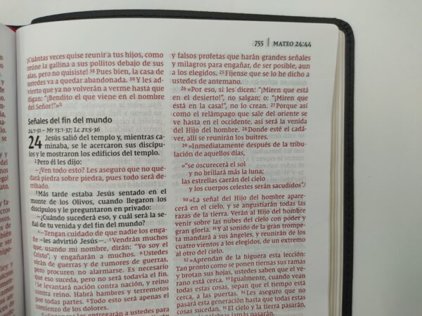 Biblia Ultrafina NVI Piel - Image 6