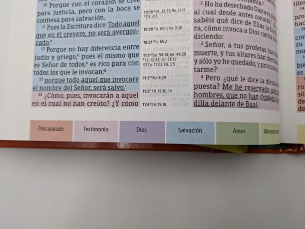 Biblia de Estudio Arcoiris RVR60 Tapa Dura - Image 6