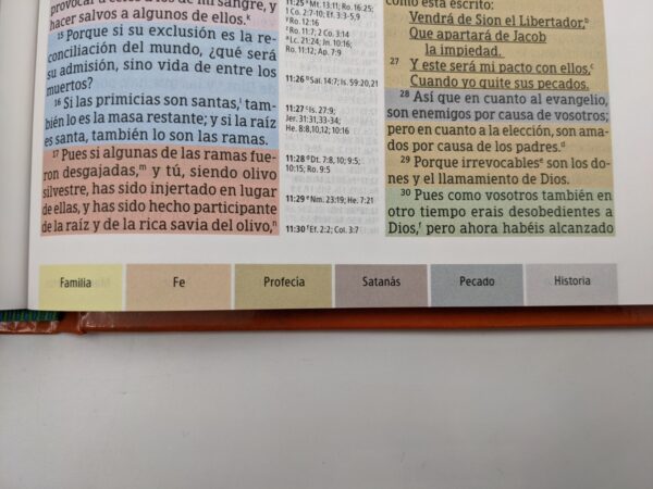 Biblia de Estudio Arcoiris RVR60 Tapa Dura - Image 7