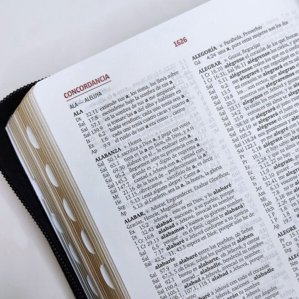 Biblia Letra Grande Reina Valera 1960 Negro Canto Dorado Indice Cierre - Image 6