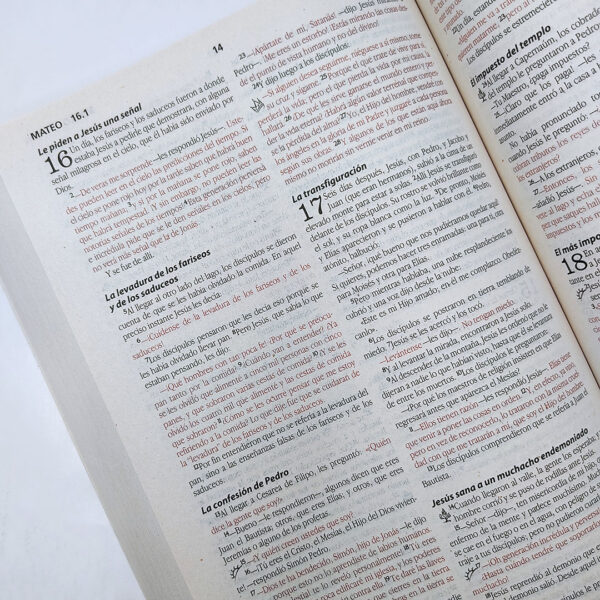 Biblia económica de la nueva versión NBD - Image 3