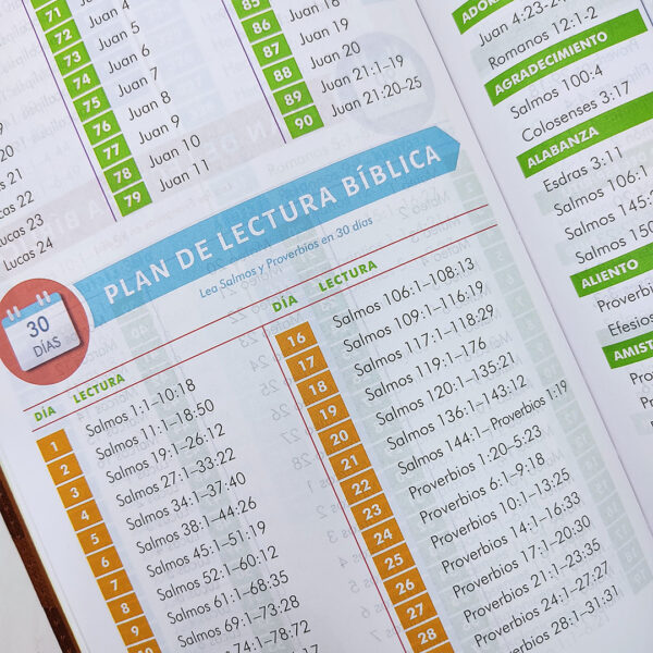 Biblia Colores De Fe RVR 1977 - Image 7