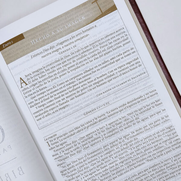 Biblia Gracia para el Momento NBD - Max Lucado - Image 2
