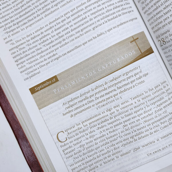Biblia Gracia para el Momento NBD - Max Lucado - Image 4