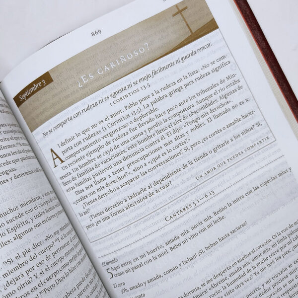 Biblia Gracia para el Momento NBD - Max Lucado - Image 3