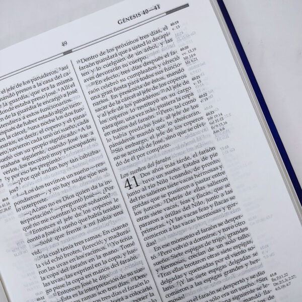 Biblia Libertad en Cristo NVI - Neil T. Anderson - Image 4