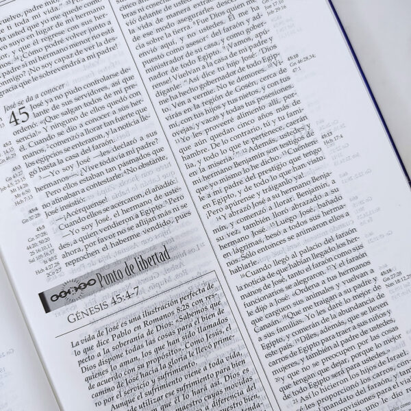 Biblia Libertad en Cristo NVI - Neil T. Anderson - Image 5