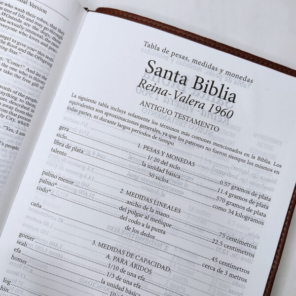 Biblia Bilingüe RVR1960 / NVI - Image 4