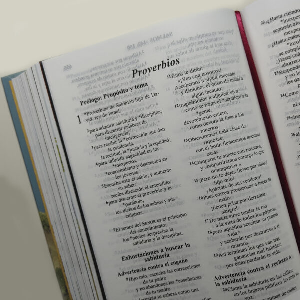 Biblia Ovejita - Alaben al Señor NVI - Image 3