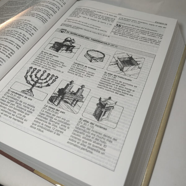 Biblia Plenitud Reina Valera 1960 de estudio tapa dura - Image 5