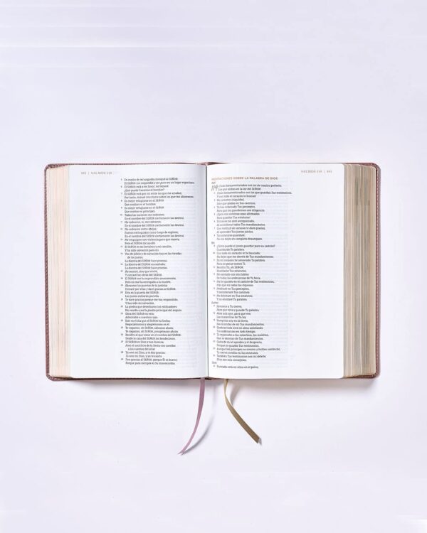 Biblia Ama a Dios Grandemente NBLA - Image 2
