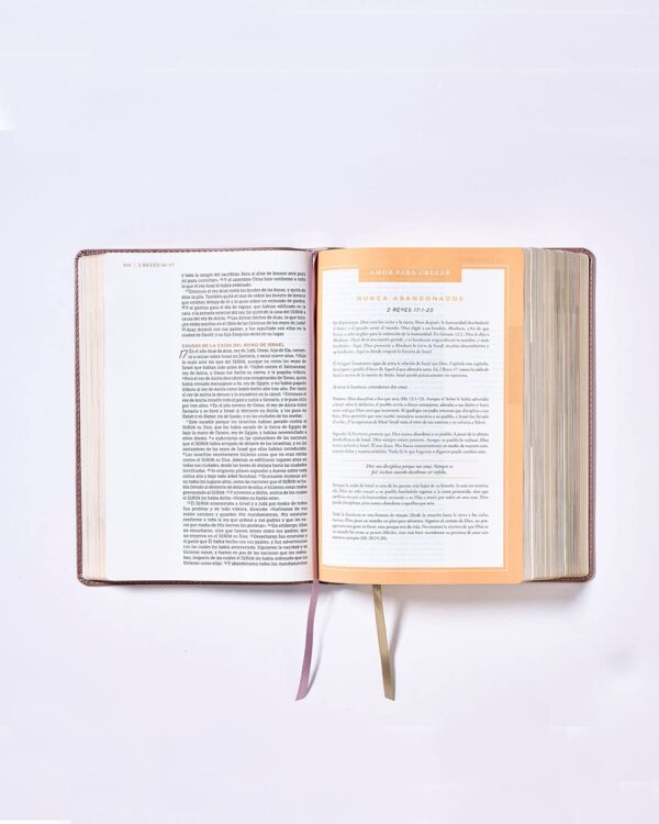 Biblia Ama a Dios Grandemente NBLA - Image 4