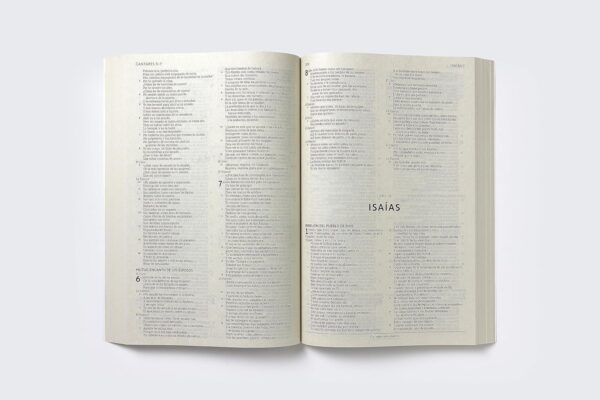Biblia Nueva Biblia de las Américas NBLA (Económica) - Image 4