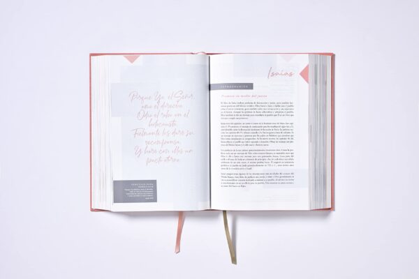 Biblia Ama A Dios Grandemente NBLA - Image 5