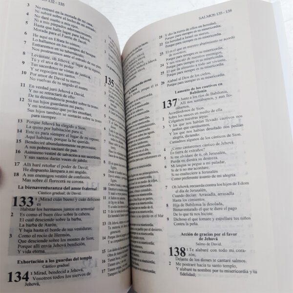Biblia Jesús para Todos Edición Promesa RVR 1960 (Económica) - Image 5