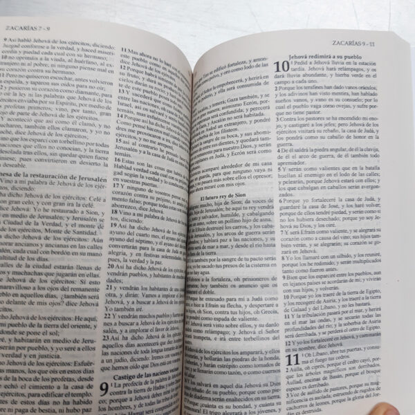 Biblia Jesús para Todos Edición Promesa RVR 1960 (Económica) - Image 4