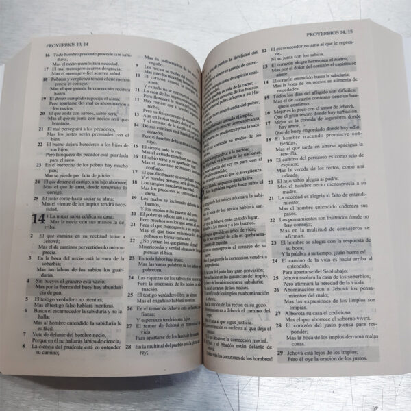 Biblia Jesús para Todos Edición Promesa RVR 1960 (Económica) - Image 6