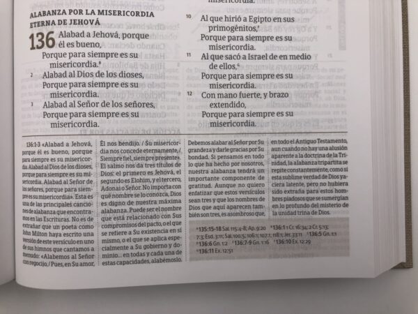 Biblia de Estudio Spurgeon RVR 1960 Tapa Dura Tela - Image 5