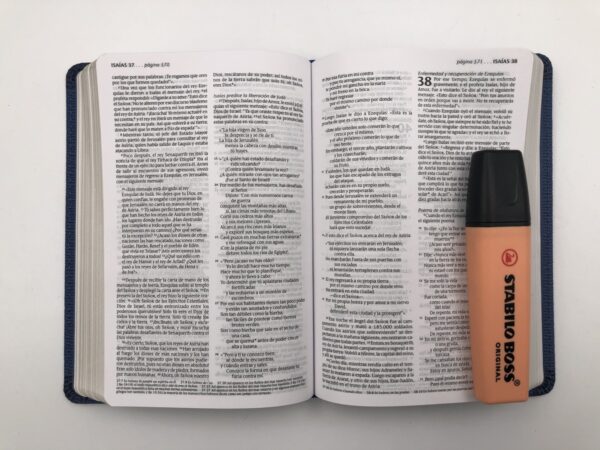 Biblia NTV Compacta Azul - Biblia Nueva Traduccion Viviente Compacta Azul - Image 3