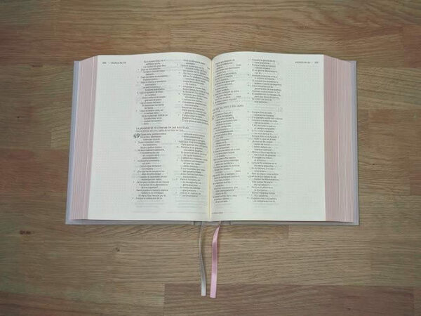 Biblia NBLA Edicion Artistica Tapa Dura Tela Canto Con Diseño - Image 2