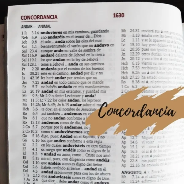 Biblia de Oraciones Duotono Gris/Negro RVR 1960 - Image 8