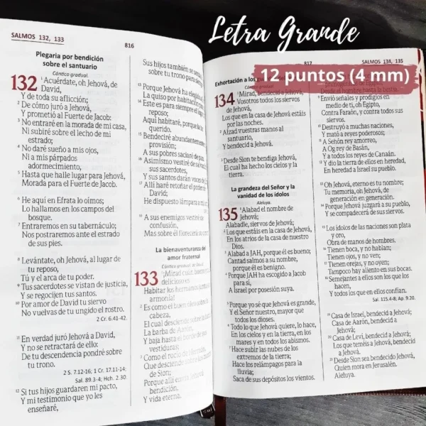 Biblia de Oraciones Duotono Gris/Negro RVR 1960 - Image 4