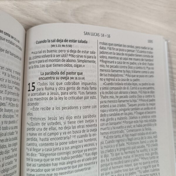 Biblia Católico (Edición economica) – Tapa Rustica Colores - Image 7