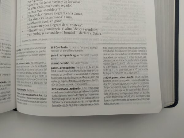 La Biblia de Estudio de La Reforma LBLA - Image 4