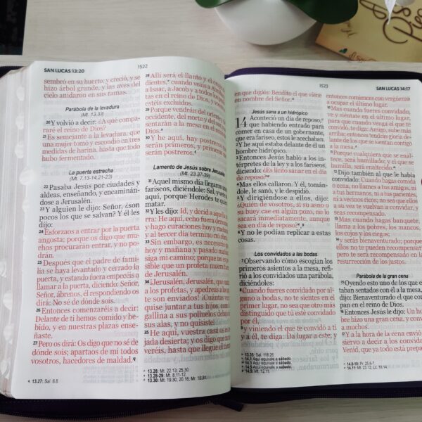 Biblia RVR60 Letra Super Gigante 19 puntos Tricolor Rosa Cierre e Índice - Image 7