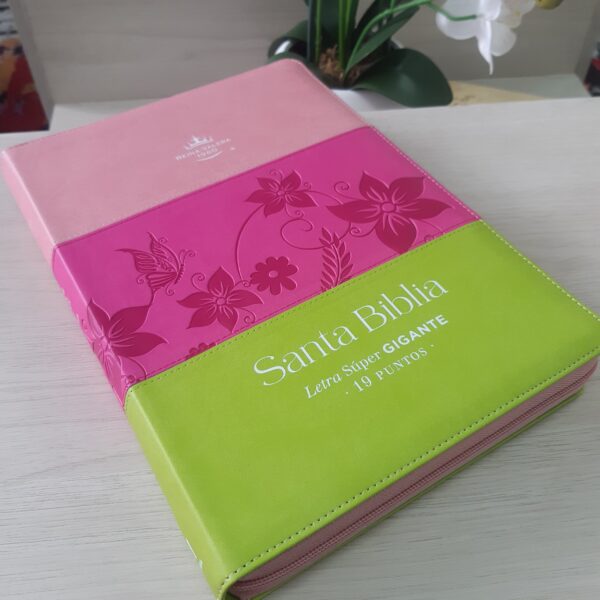 Biblia RVR60 Letra Super Gigante 19 puntos Tricolor Rosa Cierre e Índice - Image 5