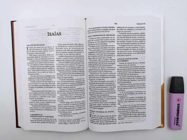 Biblia RVR60 Letra Grande Tapa Dura El Leon De La Tribu De Juda - Image 5