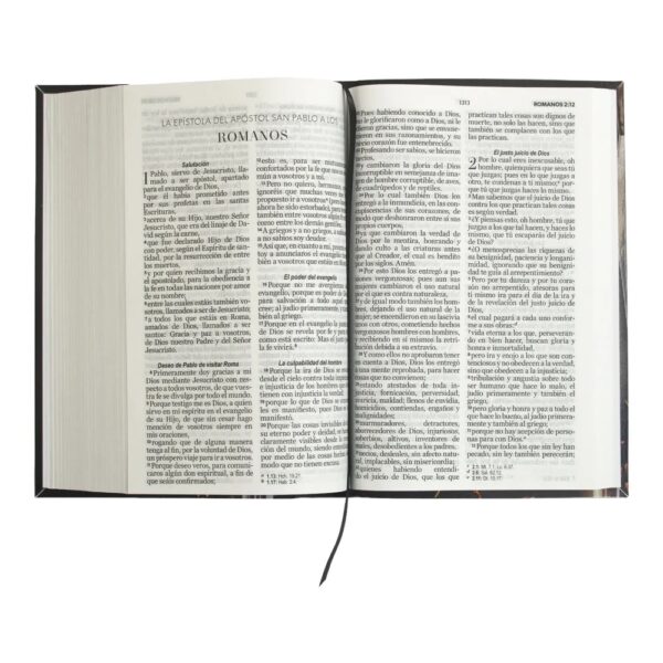 Biblia de Letra Grande Espada Reina Valera 1960 - Image 5