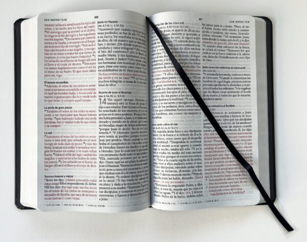 Biblia RVR 1960 Letra Grande Tamaño Manual, Tapa Dura Rosas Rosadas - Image 4