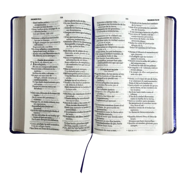 Biblia RVR1960 Letra grande 12 puntos Imitación piel Morado. Colección clásica - Image 4