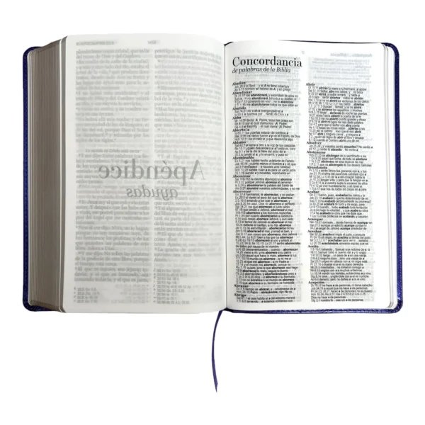 Biblia RVR1960 Letra grande 12 puntos Imitación piel Morado. Colección clásica - Image 6