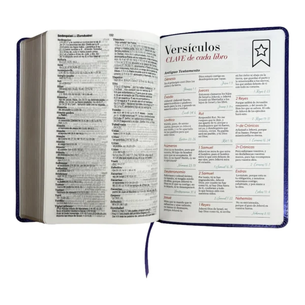 Biblia RVR1960 Letra grande 12 puntos Imitación piel Morado. Colección clásica - Image 7