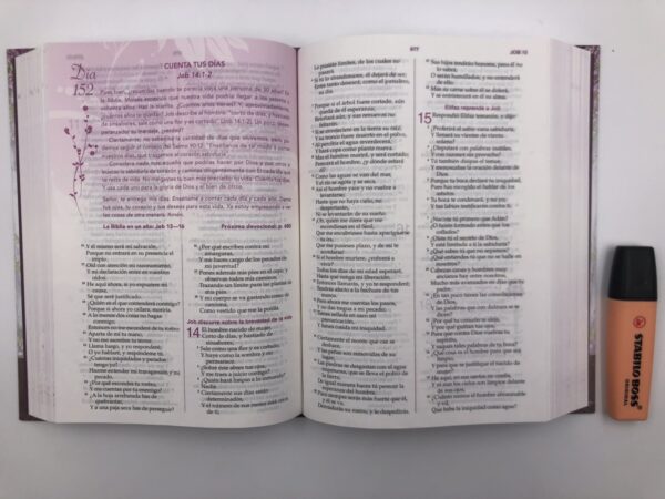 Biblia de la mujer conforme al corazón de Dios Tapa dura - Image 3