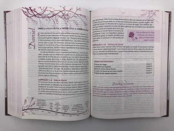 Biblia de la mujer conforme al corazón de Dios Tapa dura - Image 7